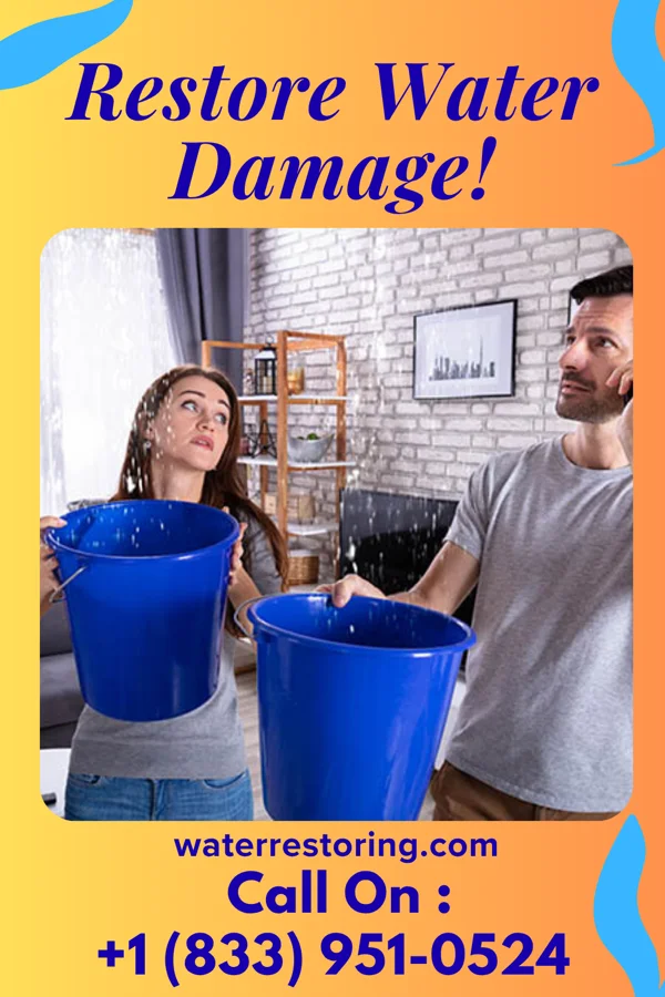 water restoration Citywide Water Repair Brothers Princeville