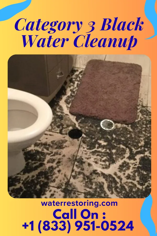Category 3 Black Water Cleanup in Princeville, IL