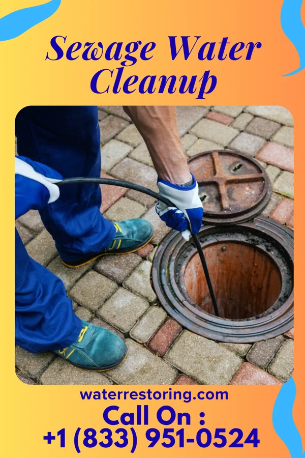 Sewage Water Cleanup in Princeville, IL